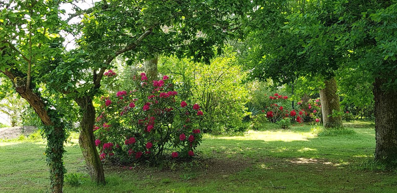 Manoir de Tireveste Lesperon (Landes) Exterior foto